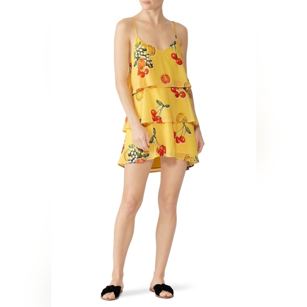 016 SHOW ME YOUR MUMU Suarez Ruffle Dress - Picture 8 of 10